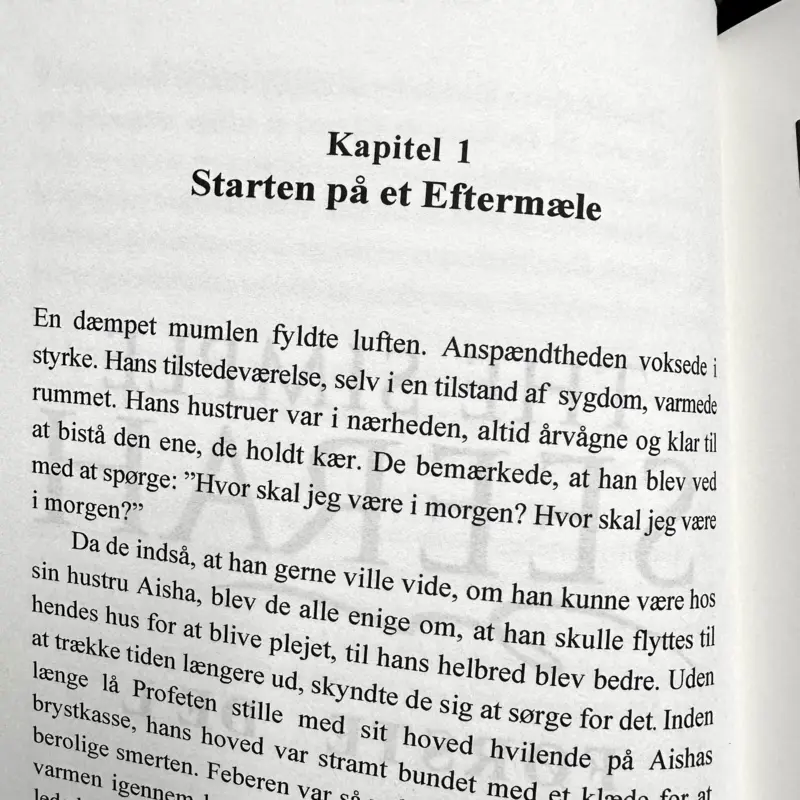 Den Simple Seerah (Dansk)