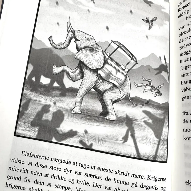 Den Simple Seerah (Dansk)