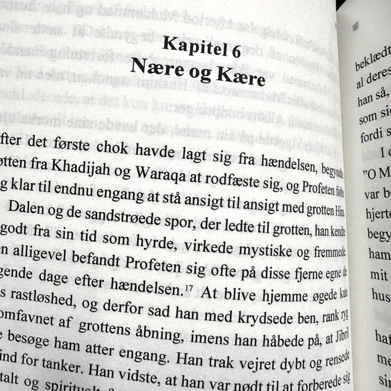 Den Simple Seerah (Dansk)