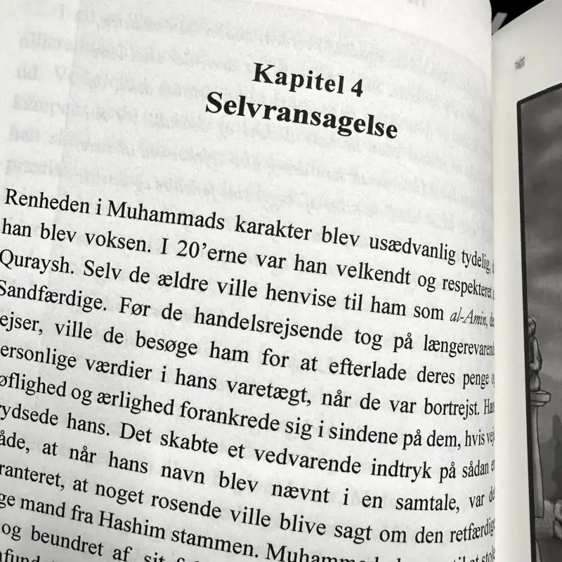 Den Simple Seerah (Dansk)
