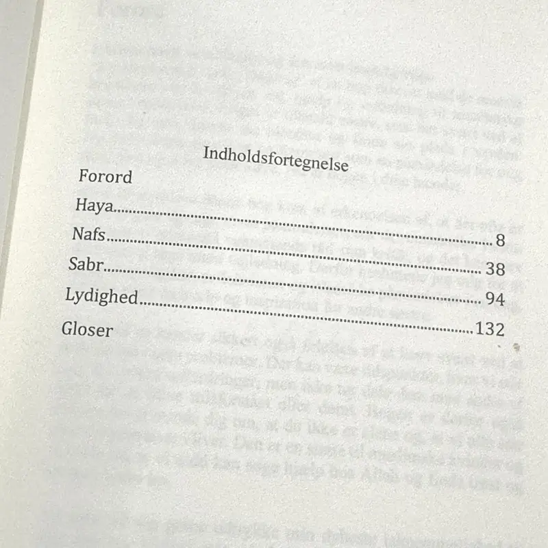 Das Tagebuch einer muslimischen Frau (Dänisch)