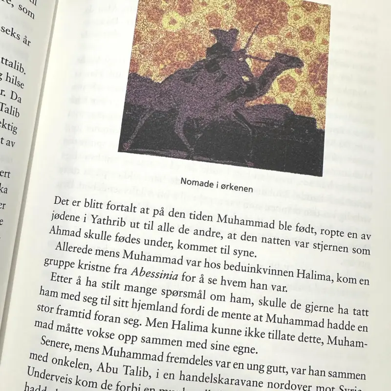 Den utvalgte