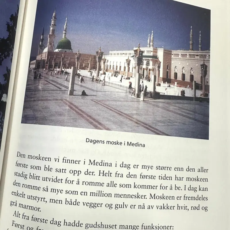 Den utvalgte