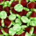Jelly Strawberry Twist Cones, Dulceplus 1kg