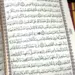 Arabisk koran i 30 delar med läderväska, grön
