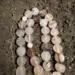 Jemenitischer Tasbih mit weißen Achatsteinen, 33 Perlen