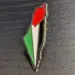 Palestina-karta Badge