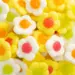 Jelly Mania Daisies, 1kg - Jake